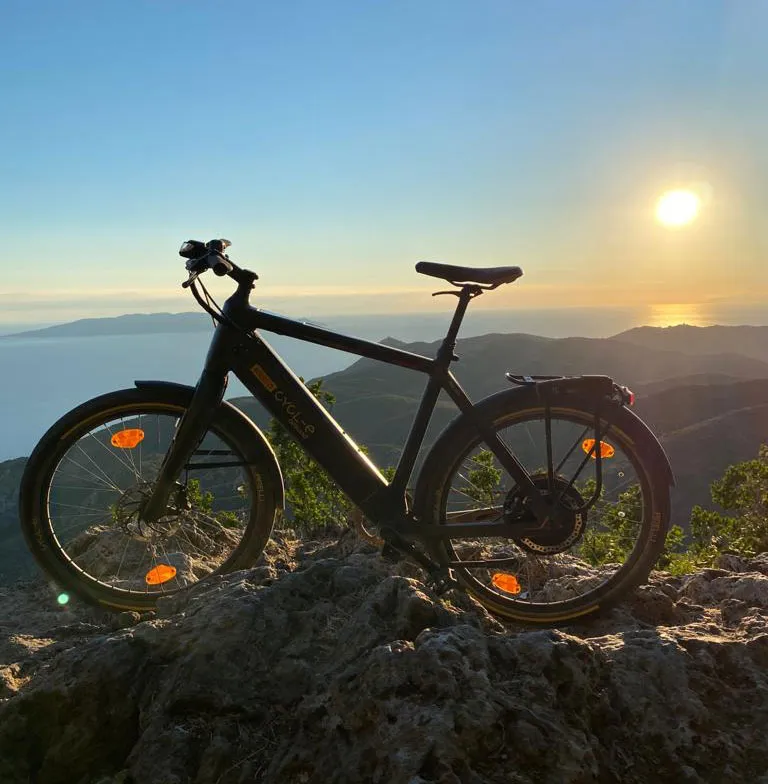 Bicycle rental for both adults and children