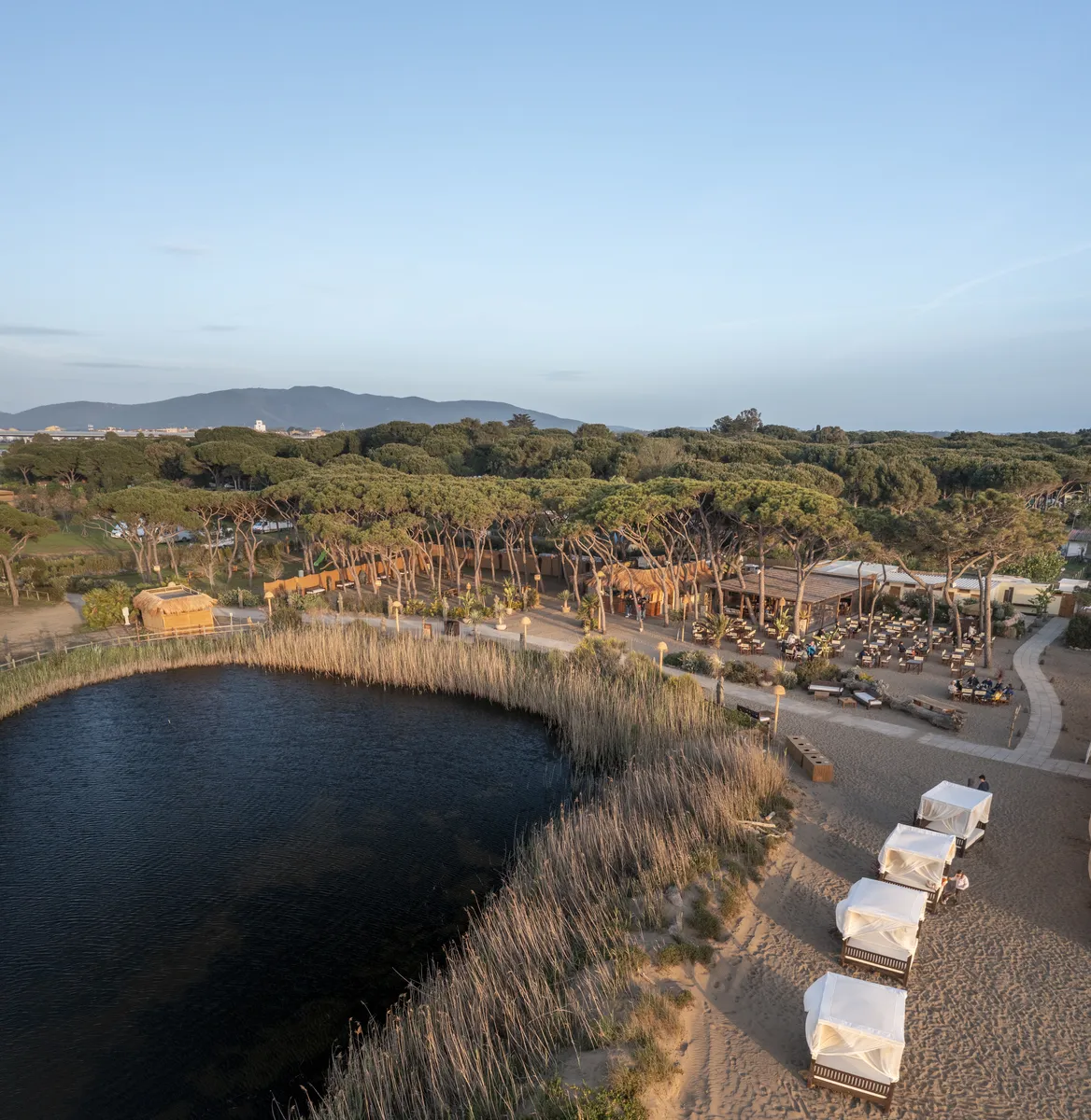 Guest gallery image 8