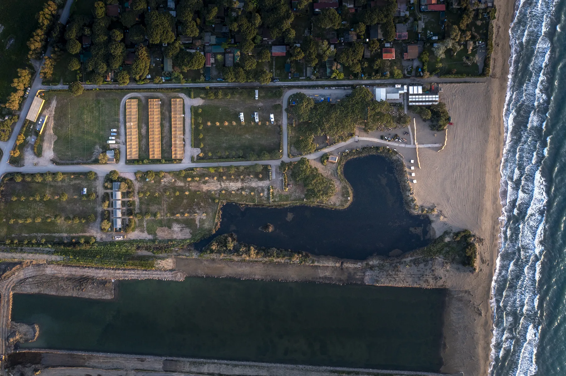 Guest gallery image 9