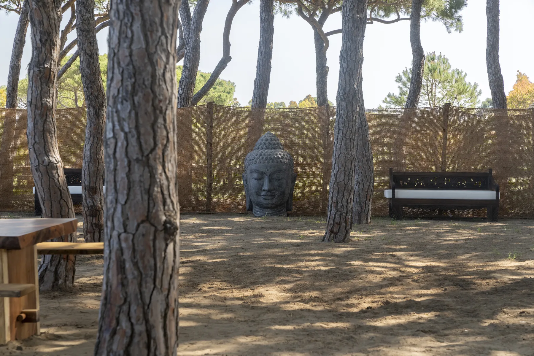 Facilities and amenities photo 6