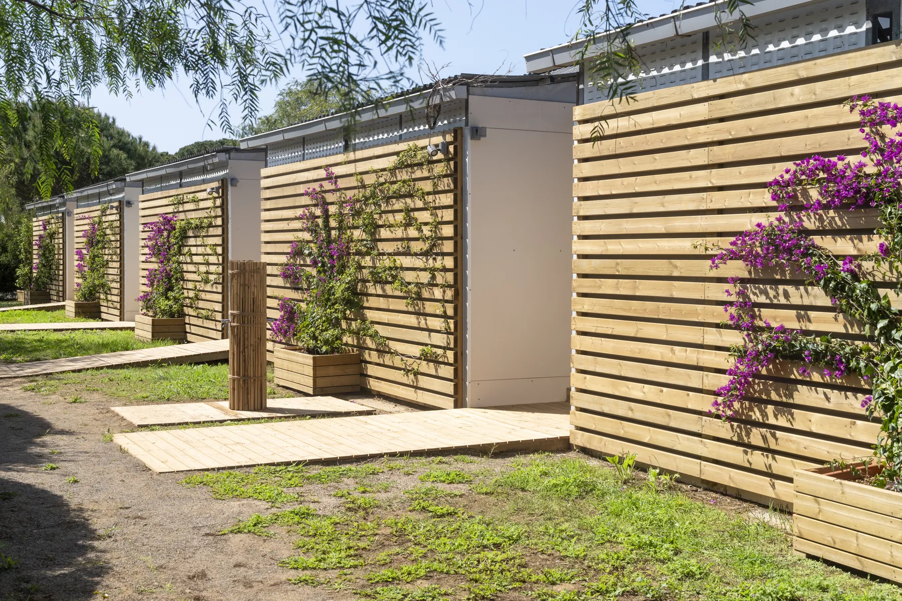 Guest gallery image 7